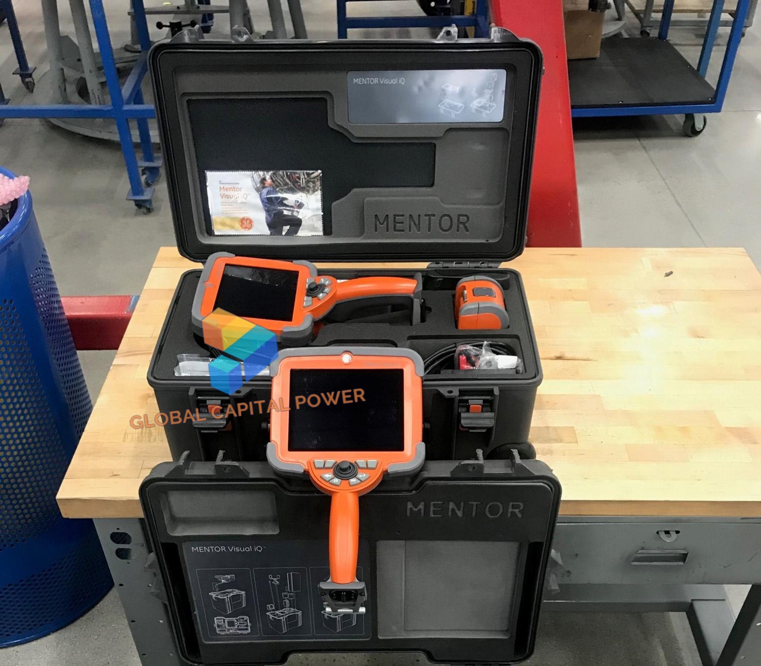 Everest Mentor Visual iQ VideoProbe